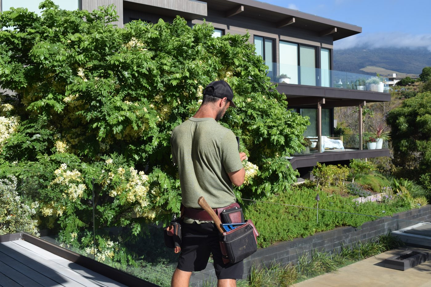 Reef on site in front of a finished custom home on Maui